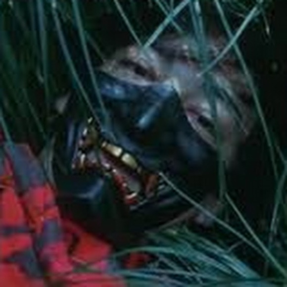 Meet your Posher, Clark - Picture 1 of 1